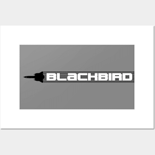 Blackbird Stripe Posters and Art